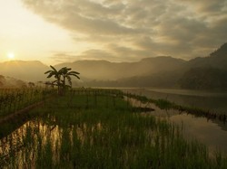 Usai Tewaskan 2 Orang, Arung Jeram Sungai Serayu Ditutup Sementara