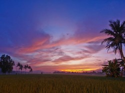 Wake Up Earlier and See the Amazing Thing