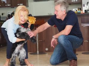 Unik, Traveler Ini Keliling Dunia Jadi Penjaga Rumah