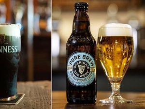 Wow! Guinness Akan Pasarkan Bir Halal di Irlandia