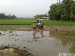 BI Prediksi Jabar Inflasi 4,02% Tahun Ini