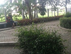 Taman di Ponorogo Dijadikan Tempat Pacaran, Ini Kata Bupati Ipong