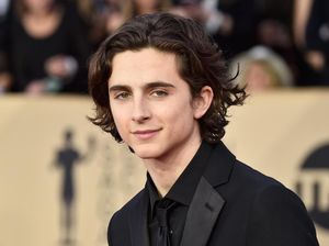 Confirmed! Timothee Chalamet Kembali Main di Sekuel Call Me By Your Name Confirmed! Timothee Chalamet Kembali Main di Sekuel Call Me By Your Name