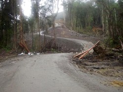 Ini Jalan Nasional yang Perawatannya Ditawarkan ke Badan Usaha