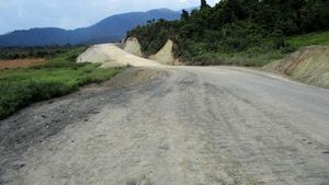 Mau Dijajal Jokowi Naik Chopper, Ini Wajah Terkini Trans Papua