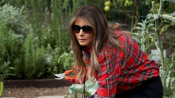 Foto: Intip Deretan Koleksi Sneakers Murah Melania Trump