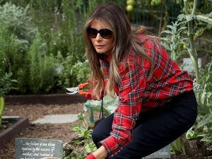 Foto: Intip Deretan Koleksi Sneakers Murah Melania Trump