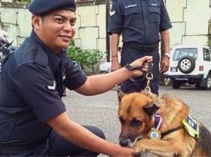 Cerita Macan Kecil Ungkap Kasus Pembunuhan di Malaysia