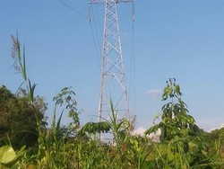 4 Proyek Listrik di Kalbar Kelar, PLN Bisa Hemat Rp 15 M/Bulan