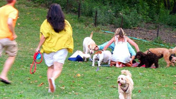 Kocak, Begini Jadinya Kalau Piknik Keluarga Gagal