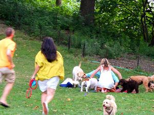 Kocak, Begini Jadinya Kalau Piknik Keluarga Gagal