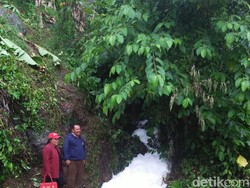 Busa Menggumpal Tutupi Aliran Sungai di Hutan Pujiharjo Malang