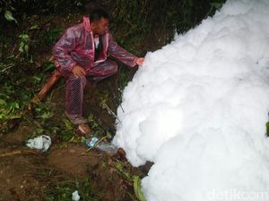 Busa di Sungai Tengah Hutan Diyakini Warga Bisa Obati Penyakit