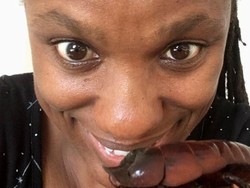 Kawasan Ini di Sydney Banyak Didatangi Kecoa