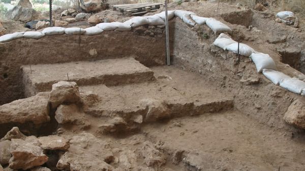 Penampakan Fosil yang Ungkap Cerita Lain Asal Muasal Manusia