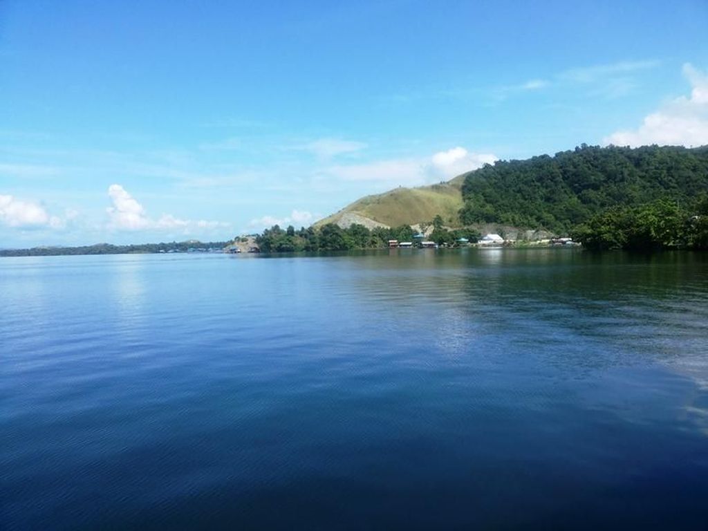 Kisah Setan Merah dari Papua Kisah Setan Merah dari Papua