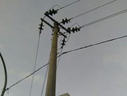 Listrik 2 Desa di Pekalongan Padam karena Seekor Ayam