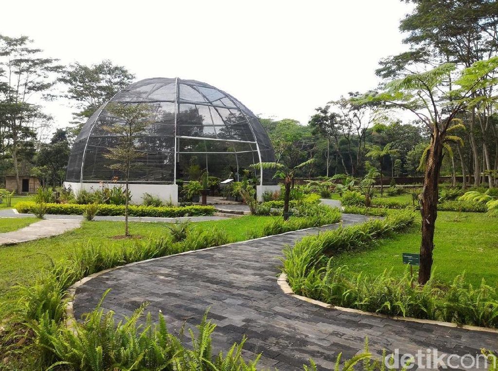 Bukan di Bogor, Ini Kebun Raya di Boyolali
