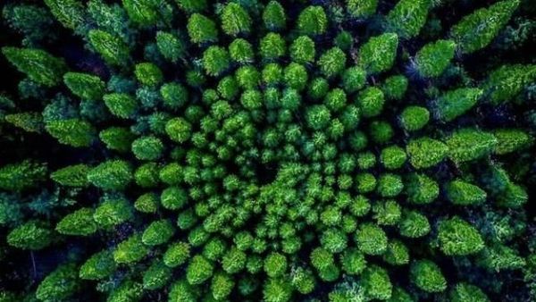 Sisi Lain Dunia dalam Jepretan Kamera