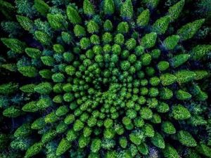 Sisi Lain Dunia dalam Jepretan Kamera