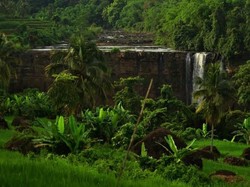 Satu Lagi yang Cantik di Geopark Ciletuh, Curug Awang