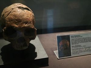 Koleksi Purba Indonesia Ada di Sini