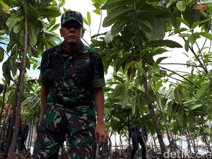 Gaya Pangdam Siliwangi Mengecek Konservasi Hulu Sungai Citarum