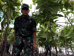 Gaya Pangdam Siliwangi Mengecek Konservasi Hulu Sungai Citarum