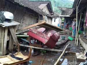 Seorang Kepala Desa di Bondowoso Jadi Tersangka Perusak Hutan Seorang Kepala Desa di Bondowoso Jadi Tersangka Perusak Hutan