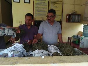 Warga di Aceh Utara Serahkan Temuan 1 Karung Ganja Kering ke Polisi Warga di Aceh Utara Serahkan Temuan 1 Karung Ganja Kering ke Polisi
