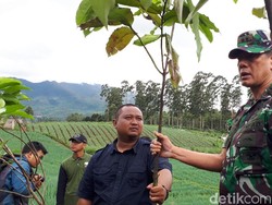Hutan Tersisa 8,9 Persen, 125 Juta Pohon akan Ditanam di Hulu Citarum