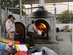 Petugas Musnahkan Benih Kedelai Taiwan yang Mengandung Virus Berbahaya