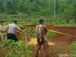 Sebuah Ladang di Gunung Kidul Ambles