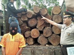 Pelaku Pencurian Kayu Jati Dibekuk, 29 Gelondong Disita