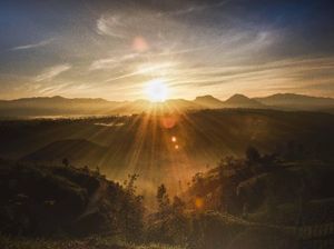 Suatu Pagi