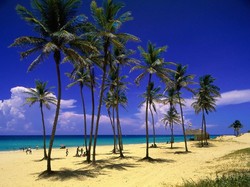 Havana Oh Nana, Akhirnya Kota Ini Buka Kembali Bandara Internasional