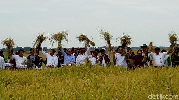 Foto: Raja Adil Siregar/detikcom