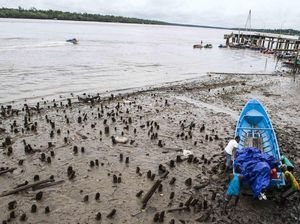 9 Fakta Soal Asmat yang Sulit Diakses: Tak Ada Sinyal, Jalan Tanpa Aspal