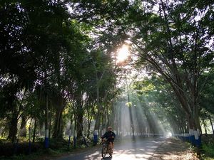 A Million Light