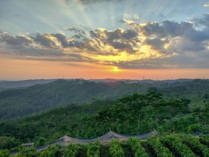 Morning Sunshine