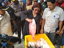 Susi Mau Bangun Pasar Ikan Modern di Bandung, Palembang, Surabaya