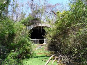 Konon Ada Hantunya, Berani Lewat Terowongan Tua ini?