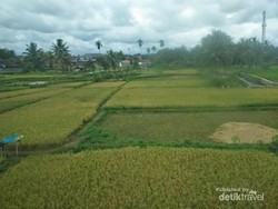 Begini Cantiknya Alam Antara Cipeundeuy-Banjar