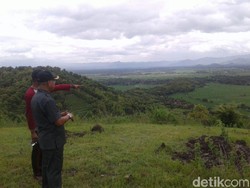 Bukit Gede Dijadikan Wisata Paralayang, Penasaran?