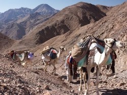 Surah Al Baqarah Ayat 61: Kisah Kaum Nabi Musa yang Enggan Bersyukur