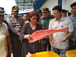 Ajak Makan Ikan, Susi: Daging Mahal dan Impor