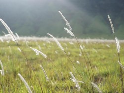 Habis gelap terbitlah terang