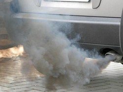 VW, Mercedes dan BMW Biayai Tes Asap Diesel pada Monyet dan Manusia