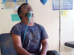 Tragis! Pekerja Proyek di Bondowoso Tewas Disengat Ribuan Tawon Tragis! Pekerja Proyek di Bondowoso Tewas Disengat Ribuan Tawon