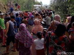 Melihat Tradisi Berburu Hama Babi Hutan di Lahan Kapulaga Banjarnegara